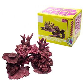 Real Reef - Nano Mix (5 to 10 gal Aquariums) - 6-8 pcs