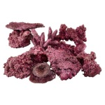 Mini Mix (10 - 20 gal Aquarium) - Image 1