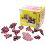 Mini Mix (10 - 20 gal Aquarium) - Image 2