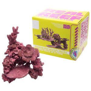 Real Reef - Mini Mix (10 to 20 gal Aquariums) - 9-10 pcs - Image 3