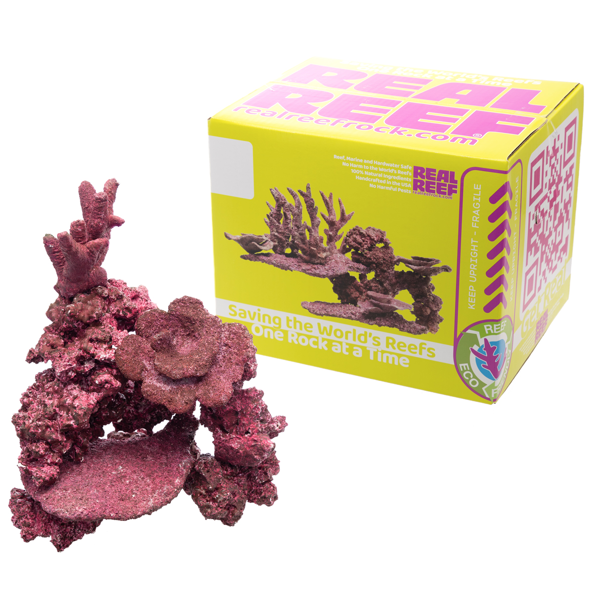 Real Reef - Mini Mix (10 to 20 gal Aquariums) - 9-10 pcs - Image 3