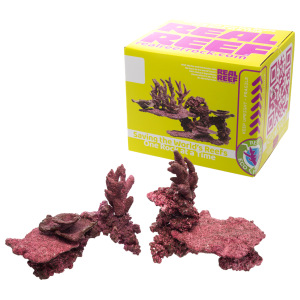 Real Reef - Mini Mix (10 to 20 gal Aquariums) - 9-10 pcs - Image 4