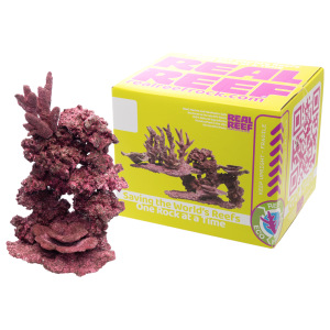 Real Reef - Mini Mix (10 to 20 gal Aquariums) - 9-10 pcs - Image 5