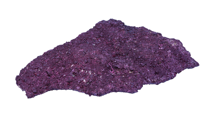 Mini Shelf Rock (15 PC)