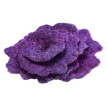 Plate Coral "Individual" (1Pc) - Image 1