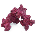 Arch XXL 24" (1 PC BOX) - Image 1