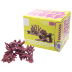 Mini Branch Rock (10 PC) - Image 5