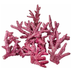 Mini Branch Rock (10 PC) - Image 1