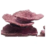 Mini Plate Corals (10 PC) - Image 1