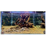 Pisces - Dragon Rock Pack - 11 lb - Image 2