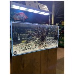 Pisces - Dragon Rock Pack - 11 lb - Image 3