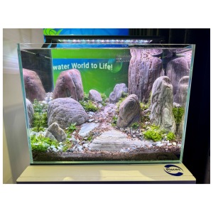 Alpine Jade Rock Box - Image 4