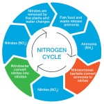 Pisces - Delta Sand Bio Substrate - 5 lb - Image 2