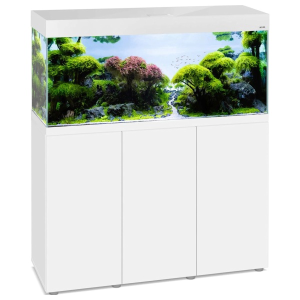 810046381915-optiset-240