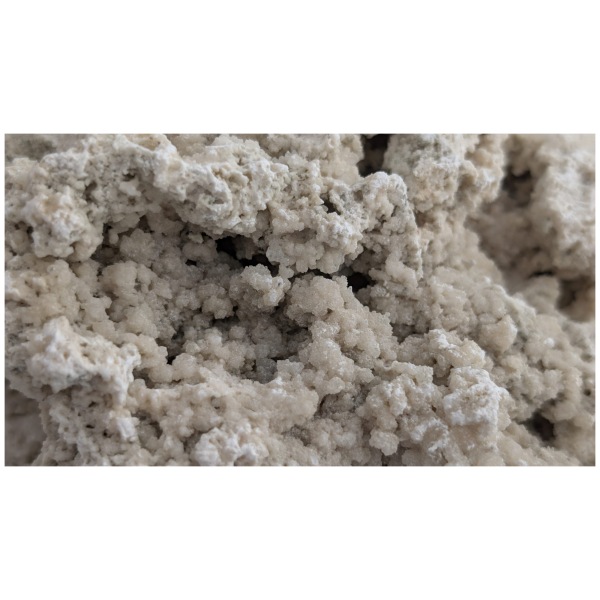 850053993626-pisces-reef-rock