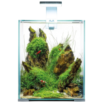 Shrimp Set 20 - Image 2