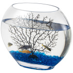 Hygger - Oblate Aquarium - Image 1