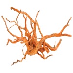 Pisces - Spiderwood - Image 1