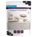 Pisces - Iwagumi Del Plato - 7.7 lb - Image 1