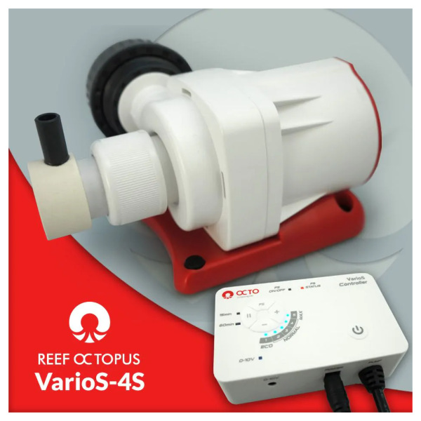 695029125227-varios_4s