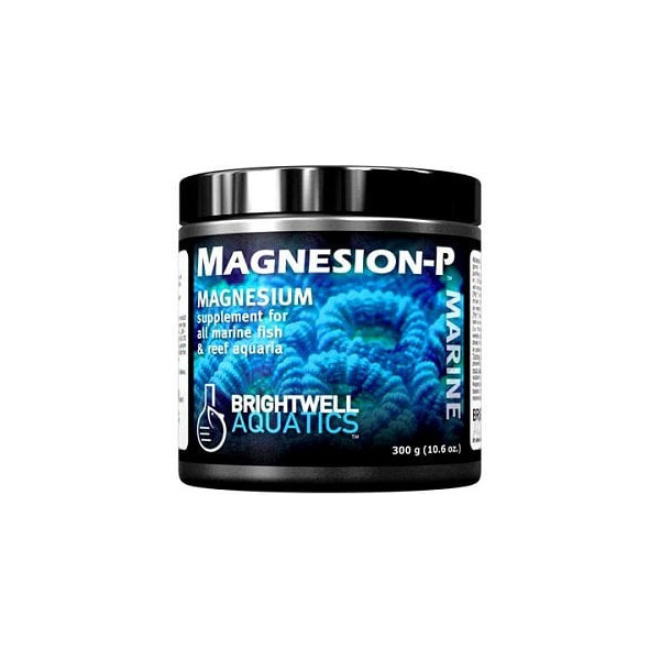 810086018567-MagnP1